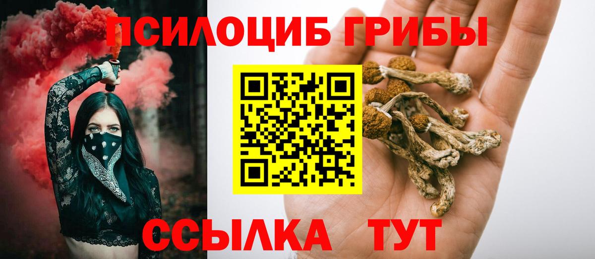 Псилоцибиновые грибы Psilocybe  Вход с VPN  купить наркоту  Горно-Алтайск  Псилоцибиновые грибы MAGIC MUSHROOMS 